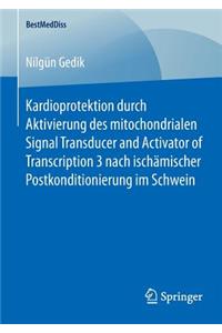 Kardioprotektion Durch Aktivierung Des Mitochondrialen Signal Transducer and Activator of Transcription 3 Nach Ischämischer Postkonditionierung Im Schwein