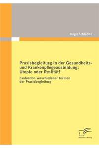 Praxisbegleitung in der Gesundheits- und Krankenpflegeausbildung