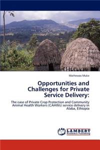 Opportunities and Challenges for Private Service Delivery