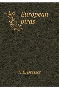 European birds