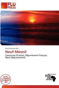 Neuf-Mesnil