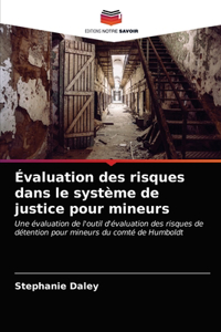 Évaluation des risques dans le système de justice pour mineurs