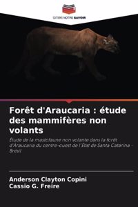 Forêt d'Araucaria