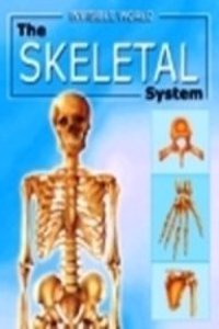 The Skeletal System