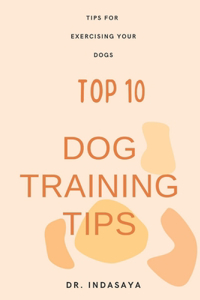 Top 10 dog training tips