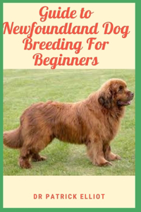 Guide to Newfoundland Dog Breeding For Beginners