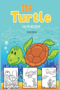Sea Turtle