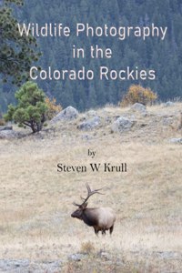 Wildlife Photography in the Colorado Rockies