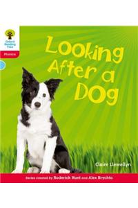 Oxford Reading Tree: Level 4: Floppy's Phonics Non-Fiction: Looking After a Dog