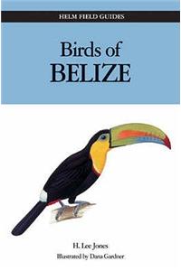 Birds of Belize