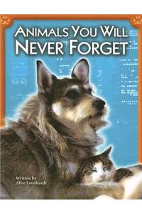 Steck-Vaughn Pair-It Books Proficiency Stage 6