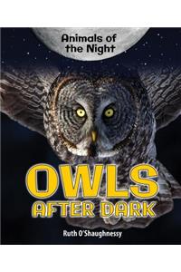 Owls After Dark