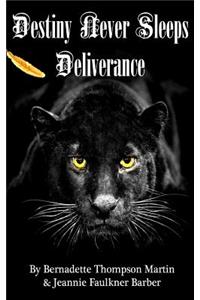 Destiny Never Sleeps