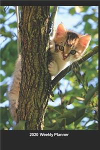 Plan On It 2020 Weekly Calendar Planner - Kitten Up A Tree - Peek A Boo I See You