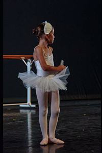 Shy Little Ballerina Dance Journal
