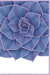 Blue Echeveria Journal