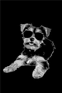 Yorkie