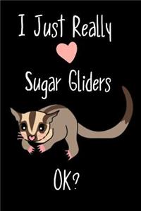 I Just Really Love Sugar Gliders OK?