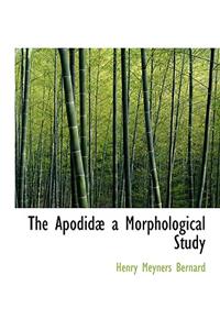 The Apodid a Morphological Study