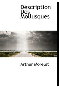Description Des Mollusques