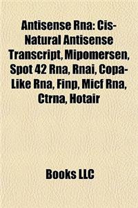 Antisense RNA Antisense RNA