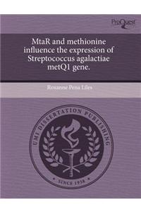 Mtar and Methionine Influence the Expression of Streptococcus Agalactiae Metq1 Gene