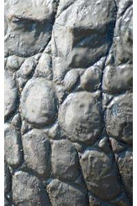 Alive! crocodile skin - Natural and muddy - photo art notebooks (5 x 8 series)