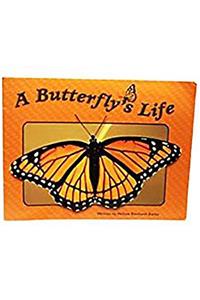 Steck-Vaughn Pair-It Books Transition 2-3: Leveled Reader Bookroom Package a Butterfly's Life