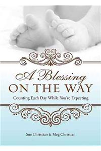 A Blessing on the Way: Counting Each Day While You're Expecting