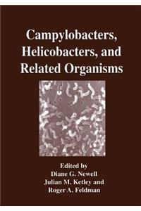 Campylobacters, Helicobacters, and Related Organisms