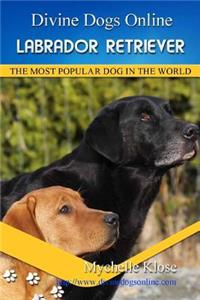 Labrador Retrievers