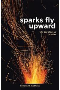 Sparks Fly Upward: Why God Allows Us to Suffer