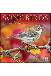 Songbirds of North America 2018 Calendar