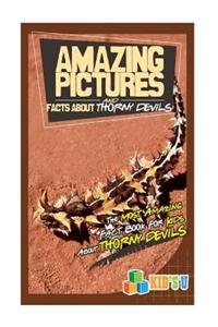 Amazing Pictures and Facts about Thorny Devils