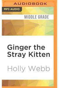 Ginger the Stray Kitten