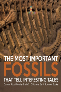 Most Important Fossils That Tell Interesting Tales Curious About Fossils Grade 5 Children's Earth Sciences Books