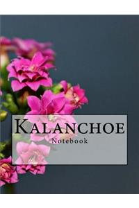 Kalanchoe Notebook