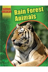 Rain Forest Animals