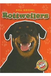 Rottweilers