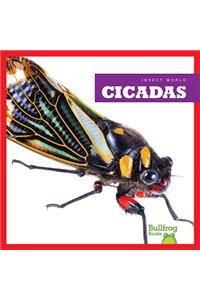 Cicadas