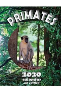 Primates 2020 Calendar (UK Edition)