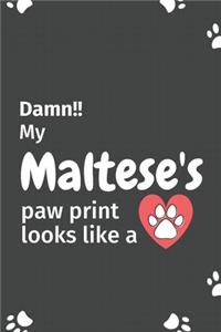 Damn!! my Maltese's paw print looks like a