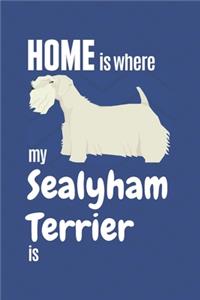 Home is where my Sealyham Terrier is