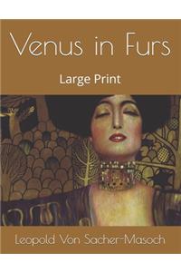 Venus in Furs