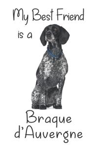 My best Friend is a Braque d'Auvergne