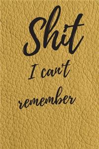 Shit I Can't Remember