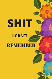 Shit I Can't Remember