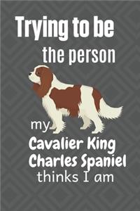 Trying to be the person my Cavalier King Charles Spaniel thinks I am