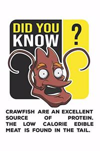 Did You Know?