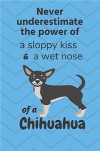 Never underestimate the power of a sloppy kiss and a wet nose of a Chihuahua